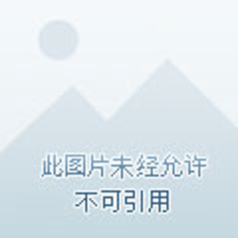 工程服务费：是“智商税”还是专业价值的必然体现？